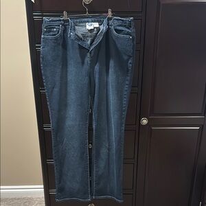 DG2 by Diane Gilman Blue / Gray Wash Denim Pants
